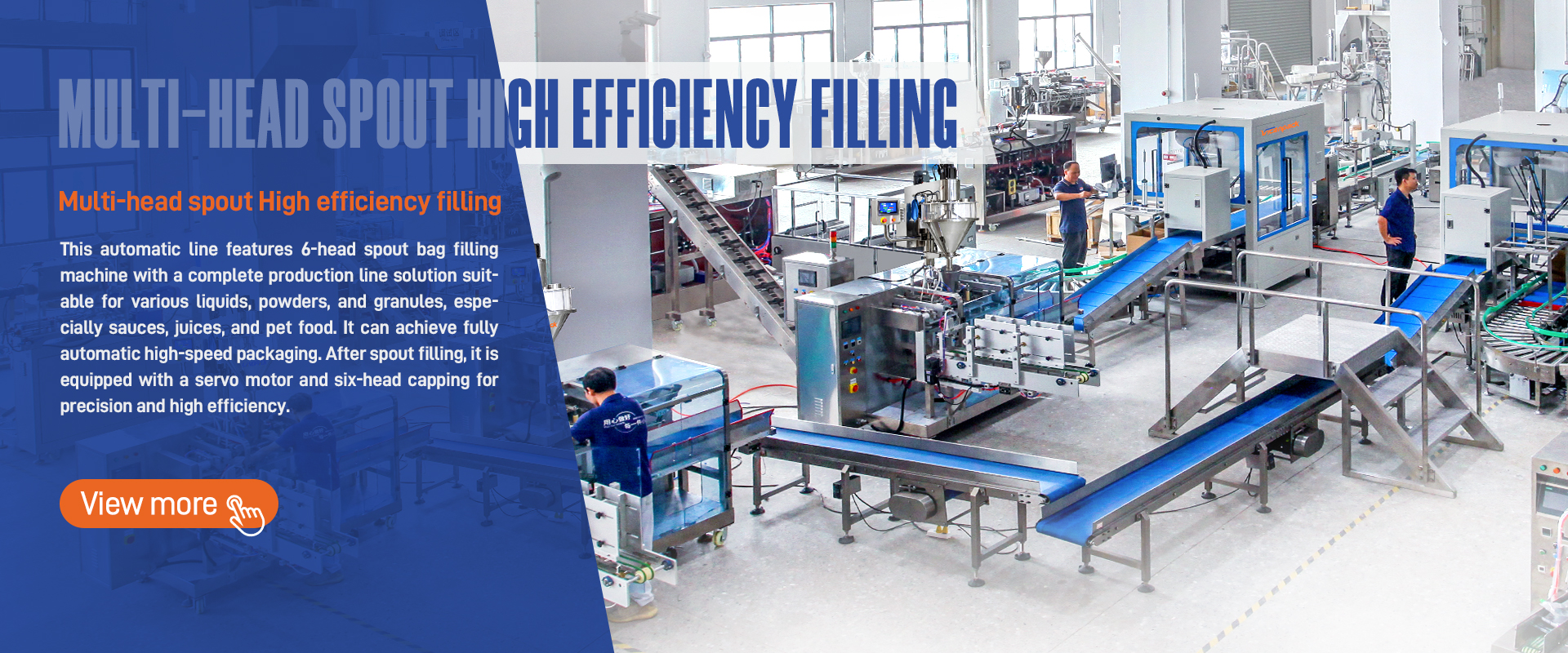 Multi-head Spout Pouch Filling Machine